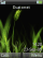 Grass K810 theme