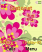 Flowers W660  theme
