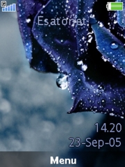 Blue rose W910  theme