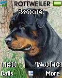 Rottweiler t610 theme