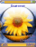 Sunflower K800 / K800i theme