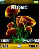 Magic Mushroom t637 theme