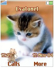 Cat and Mouse K750  theme