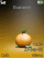Orange W830 theme