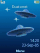 UFO Attack animated W890  theme