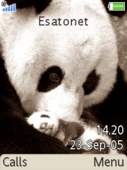 Sweet Panda theme for Sony Ericsson T650