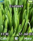 Grass t610 theme