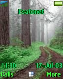 Forest Theme t610 theme