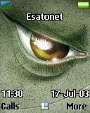 Green-gray_eye t637 theme