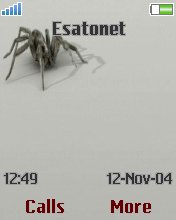 Active spider W800  theme