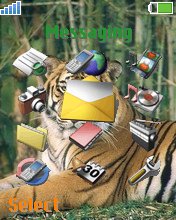 Tiger W800  theme
