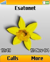Flower Theme - Simple W800  theme