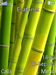 Bamboo theme for Sony Ericsson T650
