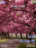 Sakura W830 theme