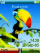 Parrot S500 theme