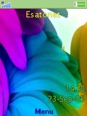 Big flowers W890  theme
