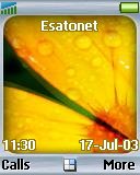 Flower t637 theme