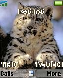 Snow leopard t637 theme