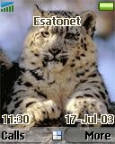 Snow leopard z600 theme