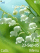 Lyly W580 theme