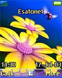 Flowers t637 theme