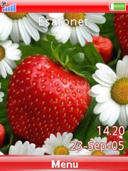 Strawberry W910  theme