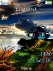 Tiki W890  theme