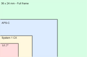 Nikon CX 1 sensor size