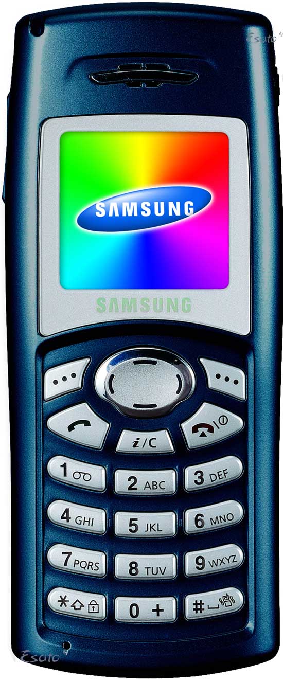 Samsung SGH-C100