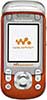 Sony Ericsson W600 themes