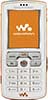 Sony Ericsson W800 themes