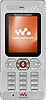 Sony Ericsson W888 themes