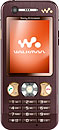 Sony Ericsson W890