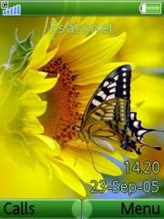 Butterfly K800 / K800i theme