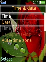 Red Rose 