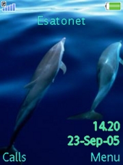 Dolphin blue W880  theme