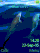Dolphin blue K770  theme