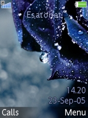 Blue flowers K800 / K800i theme