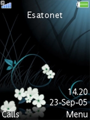 Blue Flowers W580 theme