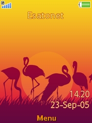 Flamingo Elm  theme