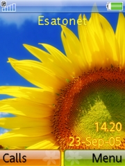 Sunflower W580 theme