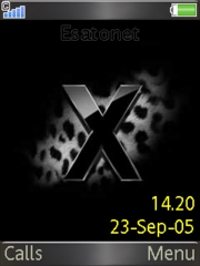 Leopard W580 theme