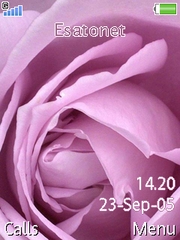 Violet Rose K810 theme