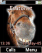Horse K610  theme