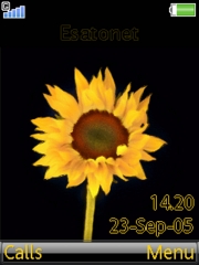 Sunflower theme for Sony Ericsson K810 / K810i