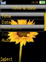 Sunflower 