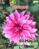 Flower8801672935258 K310 / K310i theme