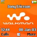 W300i J300 / J300i theme