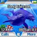 Dolphins J300 / J300i theme