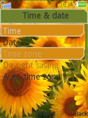 Sunflowers 